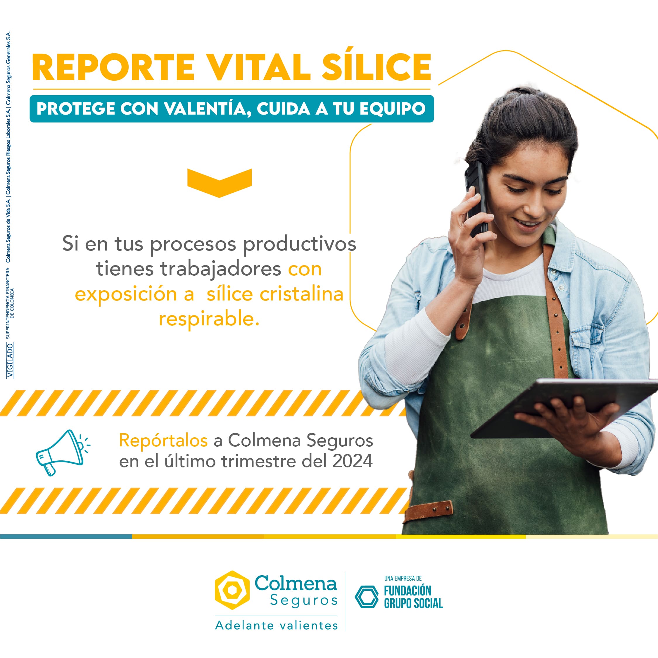 Reporte vital sílice